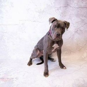 Meet your Posher, Leslie